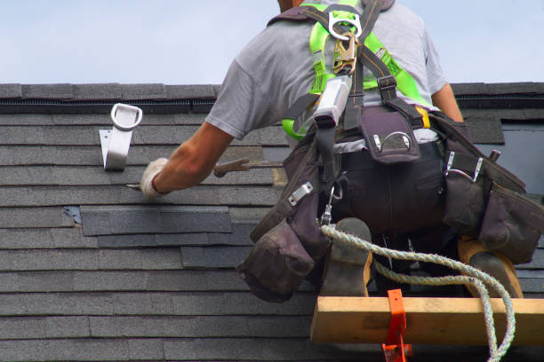 Best Shingle Roofing Installation  in Caryville, TN