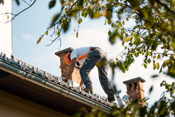 Best Roof Restoration Services  in Caryville, TN