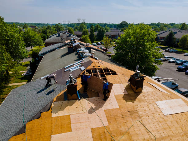Best Emergency Roof Repair  in Caryville, TN
