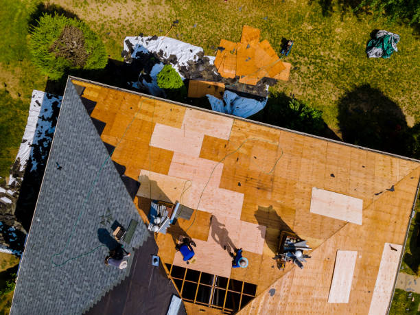 Best Local Roofing Companies  in Caryville, TN