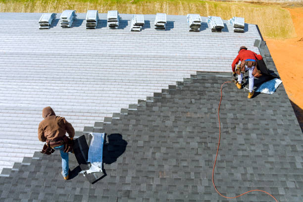Best Roof Maintenance Services  in Caryville, TN