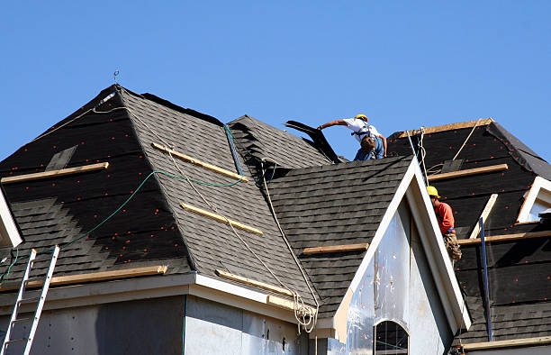 Best New Roof Installation  in Caryville, TN