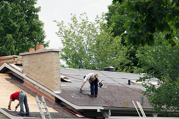 Best Shingle Roofing Installation  in Caryville, TN