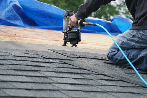 Best Roof Gutter Cleaning  in Caryville, TN