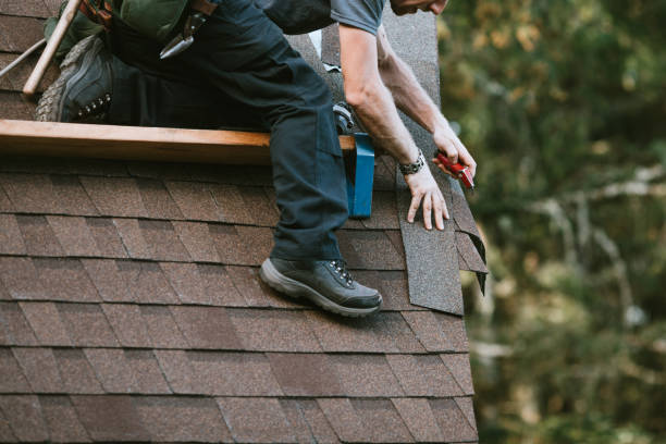 Best Roof Waterproofing Services  in Caryville, TN